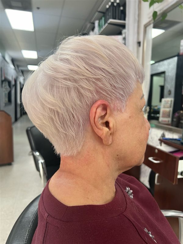 Hair styled at Professional Beauty Bar in Sarasota, look 49