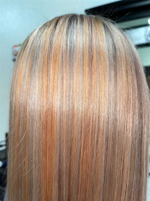 Hair styled at Professional Beauty Bar in Sarasota, look 29